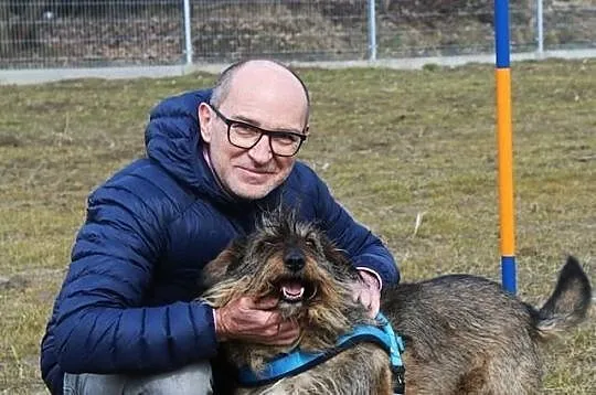 Spajki - pogodnego pieska do adopcji poleca Andrzej Krzywy, Mazowieckie, Nowy Dwór Mazowiecki