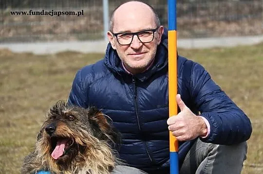 Spajki - pogodnego pieska do adopcji poleca Andrzej Krzywy, Mazowieckie, Nowy Dwór Mazowiecki