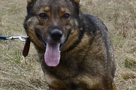 Aleks potrzebuje kogoś kto pokaże mu że nie warto 