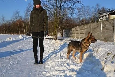 Aleks potrzebuje kogoś kto pokaże mu że nie warto 