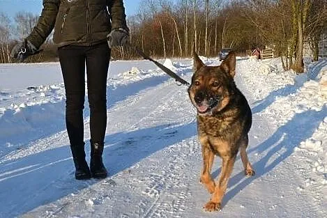 Aleks potrzebuje kogoś kto pokaże mu że nie warto 