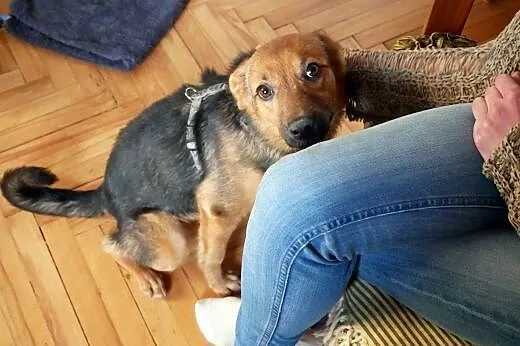 Hermiona - delikatna i powabna :),  mazowieckie Wa