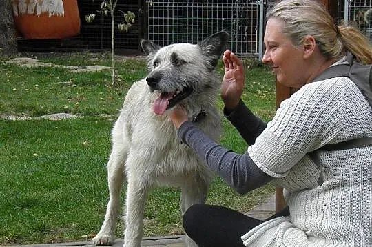 Smutny, piękny Iwan nie ma nikogo!