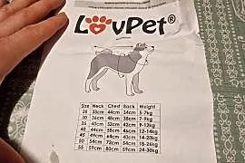 Kurtka dla psa