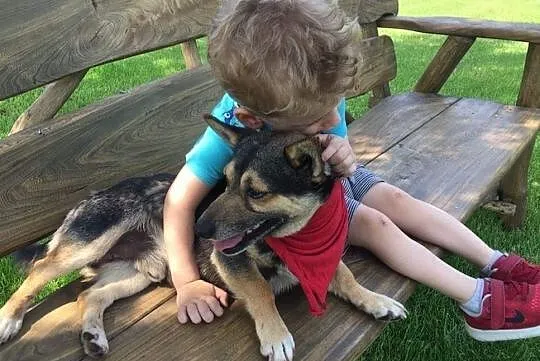 Maleńki i kochany Tuptuś do adopcji!, Mazowieckie, Warszawa