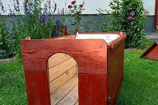 Buda dla psa, Podkarpackie, Przeworsk