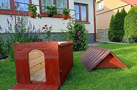 Buda dla psa, Podkarpackie, Przeworsk