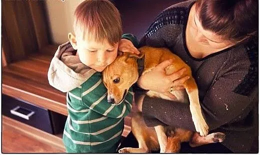 Malinka cudo nad cudami do ADOPCJI, mazowieckie W