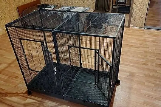 Klatka woliera Savik Tasmania 120 - 120 x 65 x 107 cm, Dolnośląskie, Wilczyce