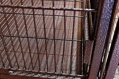 Klatka woliera Savik Tasmania 120 - 120 x 65 x 107 cm, Dolnośląskie, Wilczyce