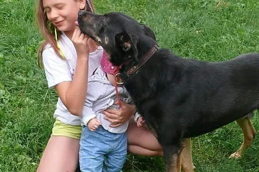Aaaadoptuj Dyzia! Daj dom!,  mazowieckie Warszawa