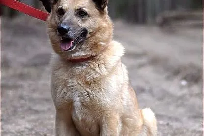 Rudi - super miś! :)