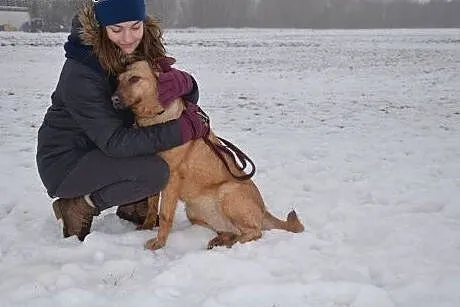 Czika potrzebuje cierpliwego i kochającego domku n