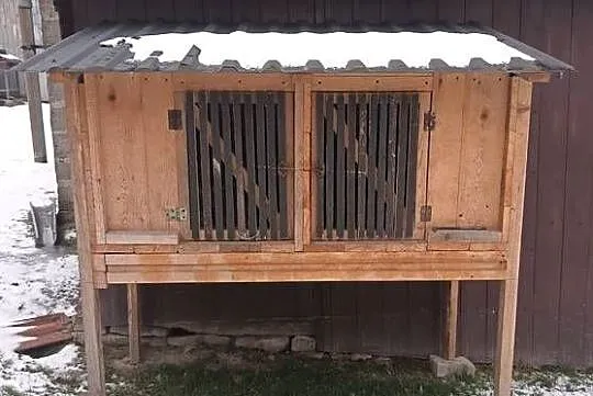 Klatka dla królików