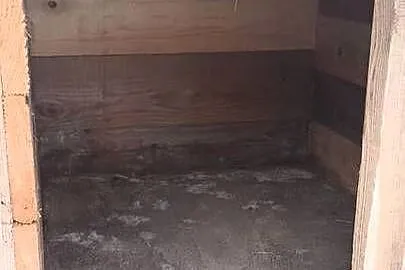 Klatka dla królików, Podkarpackie, Sędziszów Małopolski