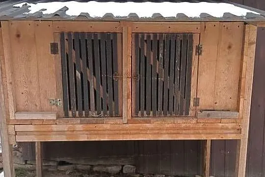 Klatka dla królików, Podkarpackie, Sędziszów Małopolski
