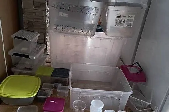 Pudełka boxy hodowlane pojemniki okazja