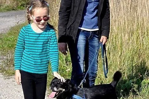 Małpek z likwidowanego przytuliska błaga o dom,  ł