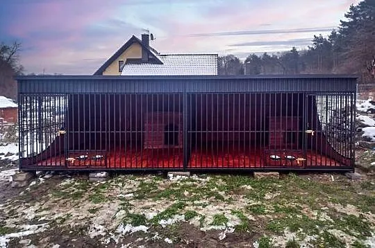 Kojec dla dwóch psów 6x3m | Red | Pełen zestaw Premium RAJK-STAL, Świętokrzyskie, Kielce