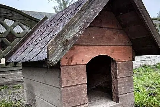 Buda dla psa, Świętokrzyskie, Końskie