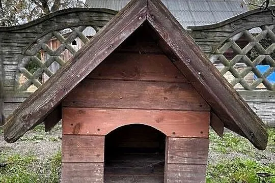 Buda dla psa, Świętokrzyskie, Końskie