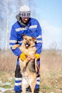 Kufel - mądry, przyjazny, wychowany szorściak  Kufel- cały czas czeka na swoją szansę! Czy jego los, , Warszawa