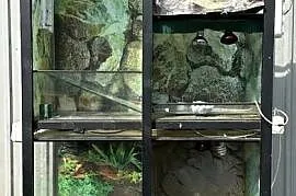 Regał z terrariami