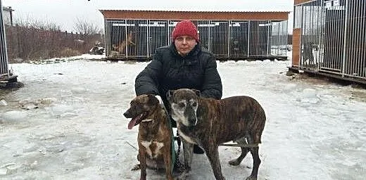 Laura - sunia w typie TTB, oaza łagodności, szuka