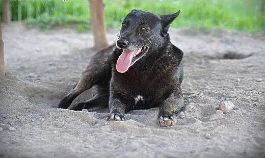 Piękna kochana Babi czeka na dom, mazowieckie War