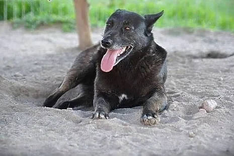 Piękna kochana Babi czeka na dom,  mazowieckie War