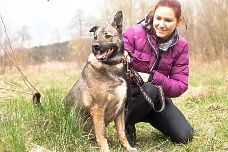 Młody, cudny, mądry... Berni już ponad rok czeka :