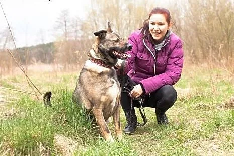 Młody, cudny, mądry... Berni już ponad rok czeka :