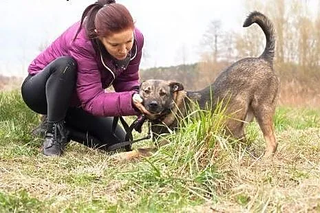 Młody, cudny, mądry... Berni już ponad rok czeka :