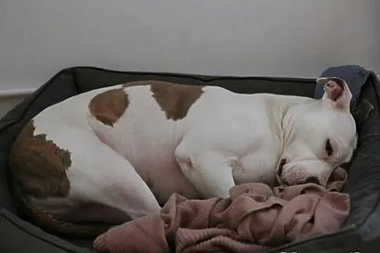 Życie czy śmierć? Mamy czas do 15.02.2015