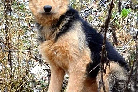 Szorstka Nadia :) Cudna :)