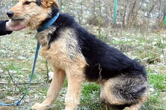 Szorstka Nadia :) Cudna :)