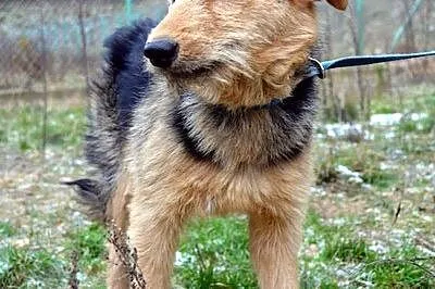 Szorstka Nadia :) Cudna :)