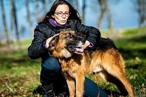Bartek - owczarek bez ściemy czeka na człowieka,  