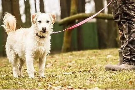 Słodki Ptyś :),  warmińsko-mazurskie Olsztyn