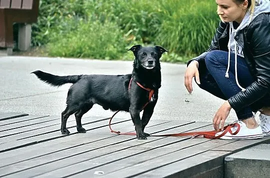 Chcesz miłości? Weź dziś Oro, on ma jej w zanadrzu sporo!, Mazowieckie, Warszawa