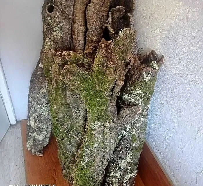 Tuby korkowe do Terrarium, Wielkopolskie, Ostrów Wielkopolski