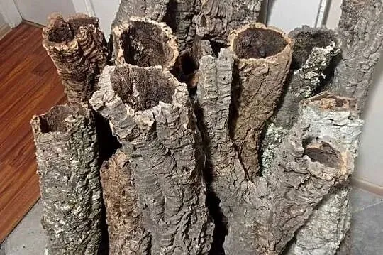 Tuby korkowe do Terrarium, Wielkopolskie, Ostrów Wielkopolski