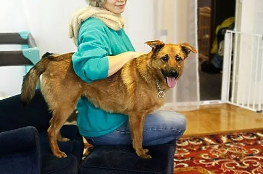 Karotka - cudo nie pies! Kto pokocha?