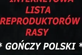 GOŃCZE POLSKIE reproduktory - lista, darmowe wpisy, Warszawa