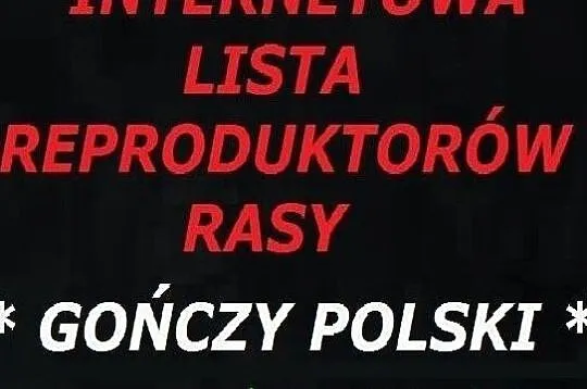 GOŃCZE POLSKIE reproduktory - lista, darmowe wpisy, Warszawa