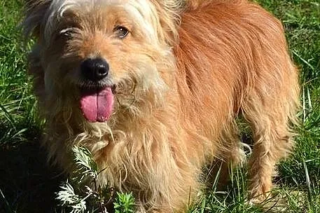 Lola i Fabio - chciałyby zostać razem___