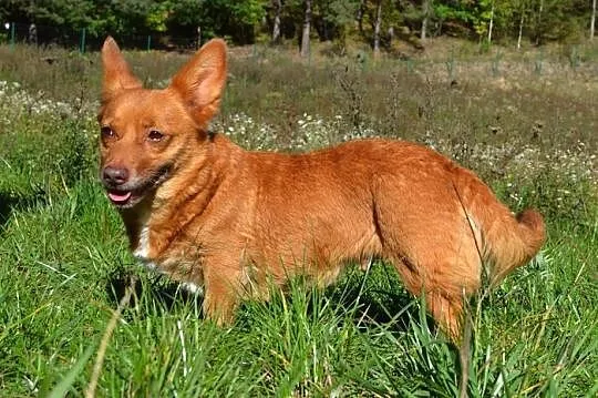 Lola i Fabio - chciałyby zostać razem___