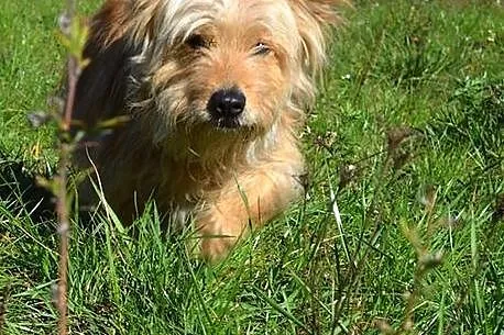 Lola i Fabio - chciałyby zostać razem___