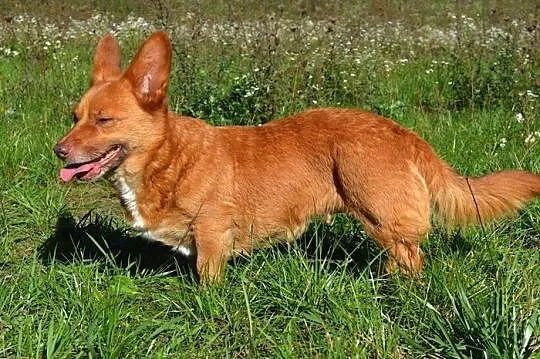 Lola i Fabio - chciałyby zostać razem___