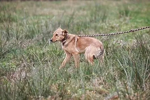 Trini kocha wszystkich, jej nie kocha nikt...,  ma